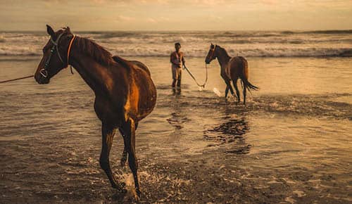 soñar con caballos corriendo en la playa